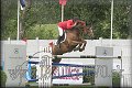 Poh�r n�rodov BA 2010