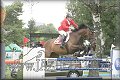 Poh�r n�rodov BA 2010