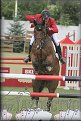 Poh�r n�rodov BA 2010