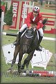 Poh�r n�rodov BA 2010