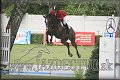Poh�r n�rodov BA 2010