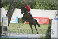 Poh�r n�rodov BA 2010
