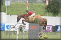 Poh�r n�rodov BA 2010