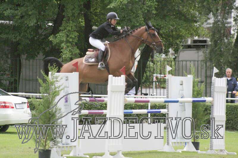 BRATISLAVA 7.8. 2010