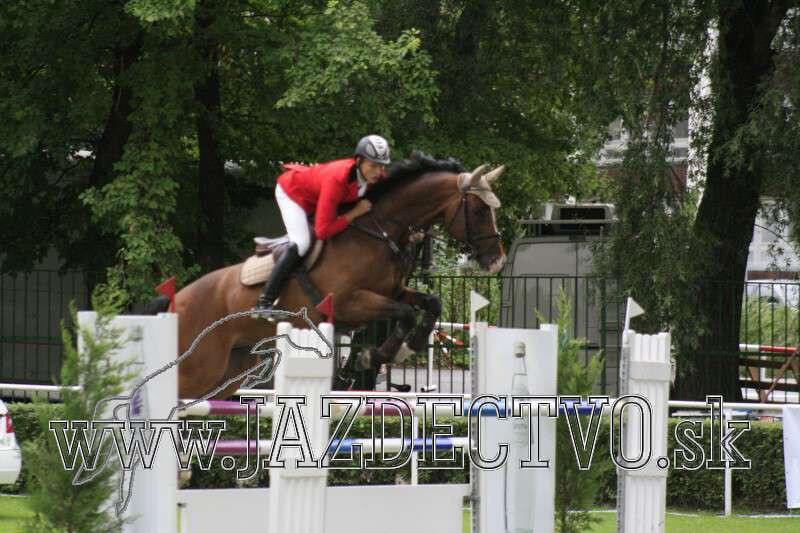 BRATISLAVA 7.8. 2010