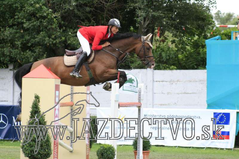 BRATISLAVA 7.8. 2010