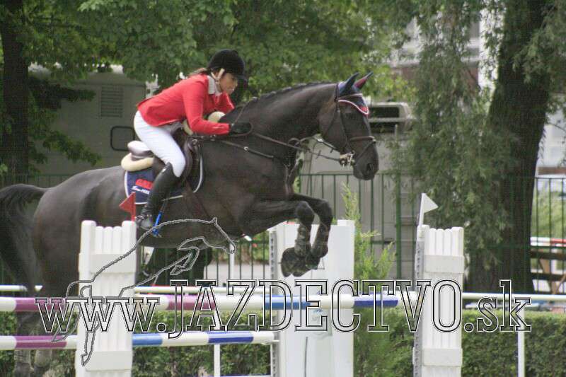 BRATISLAVA 7.8. 2010