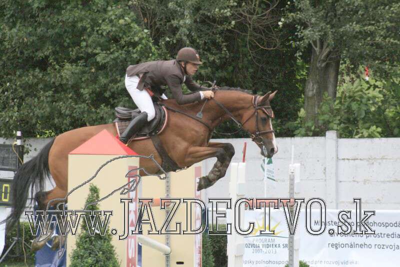BRATISLAVA 7.8. 2010