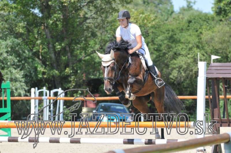 Karpatia 8/2010