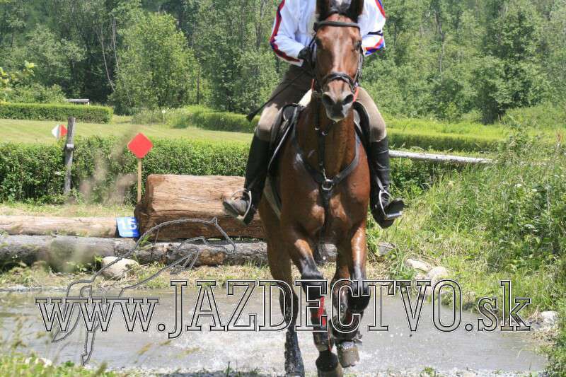 Tatransk� Lomnica j�l 2010