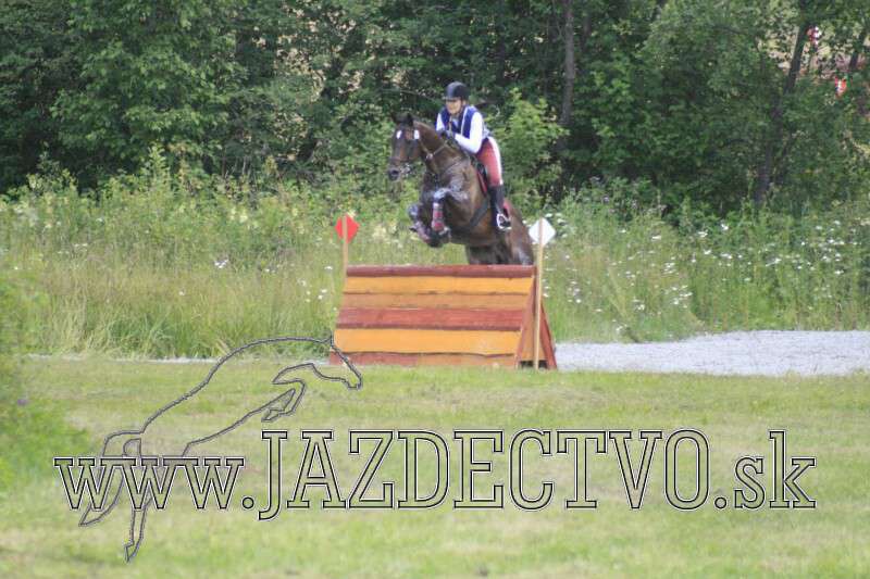 Tatransk� Lomnica j�l 2010