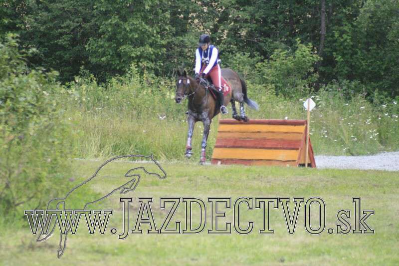 Tatransk� Lomnica j�l 2010