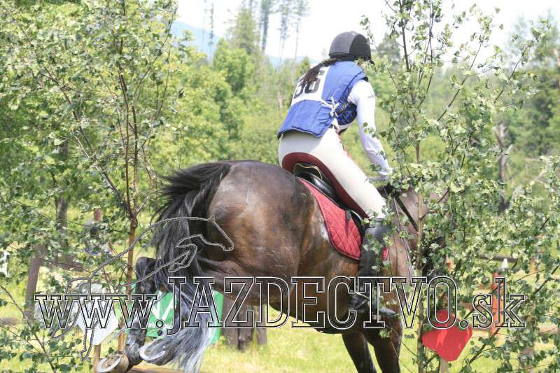 Tatransk� Lomnica j�l 2010