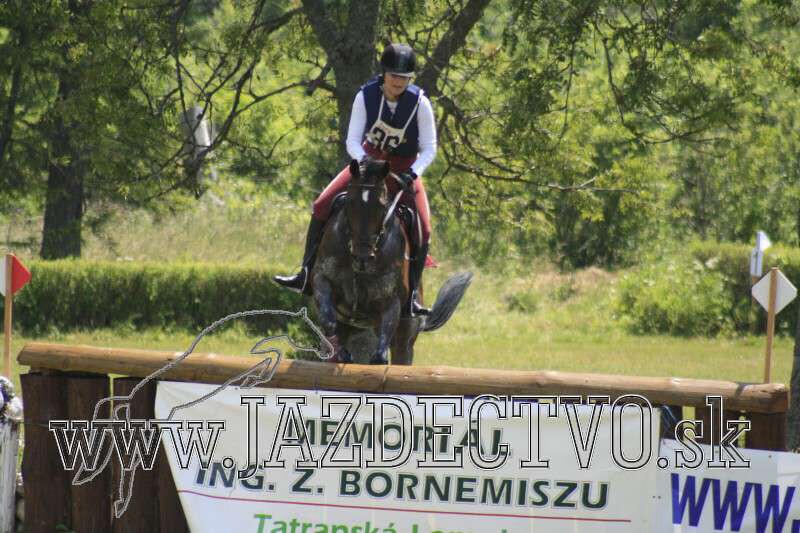 Tatransk� Lomnica j�l 2010