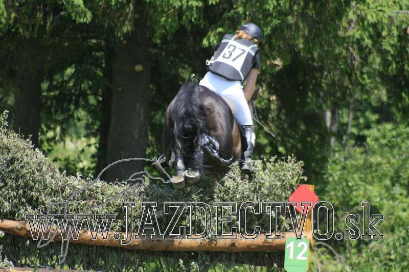 Tatransk� Lomnica j�l 2010