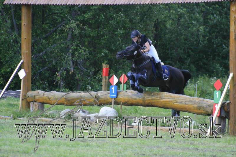 Tatransk� Lomnica j�l 2010