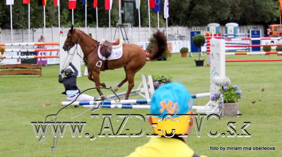 GP 2012