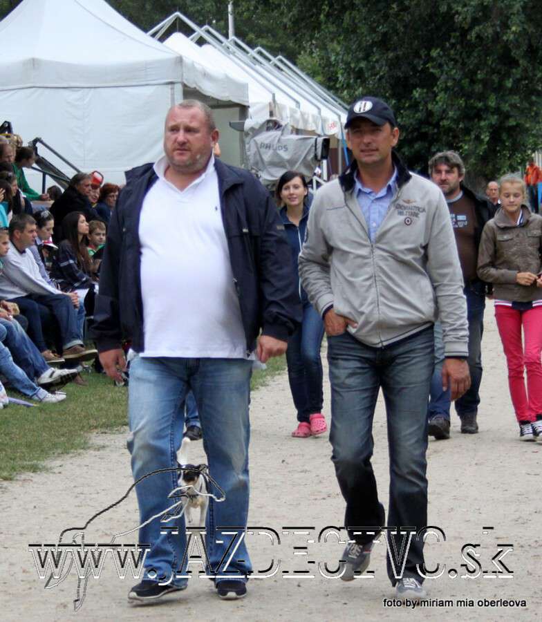 GP 2012