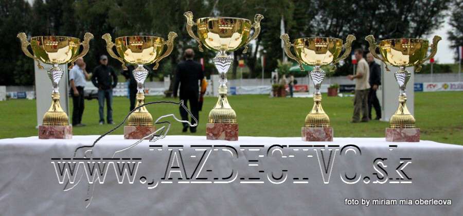 GP 2012