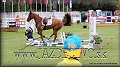 GP PN 2012