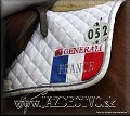 GP PN 2012