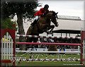 GP PN 2012