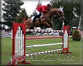 GP PN 2012