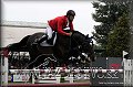GP PN 2012