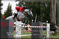 GP PN 2012